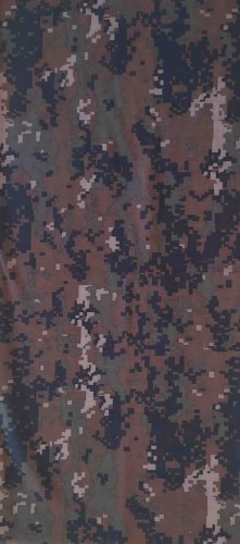 106.jpg