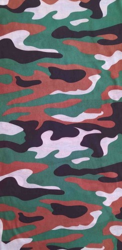 107.jpg