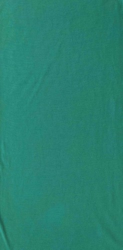 113.jpg
