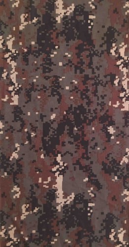 146.jpg
