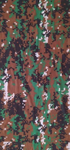 164.jpg