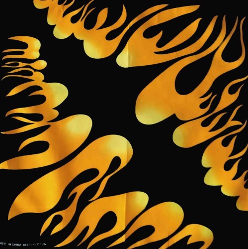 79.jpg