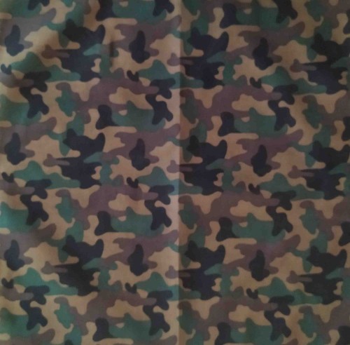 119.jpg